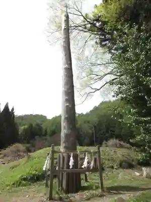 諏訪大社上社前宮のその他建物