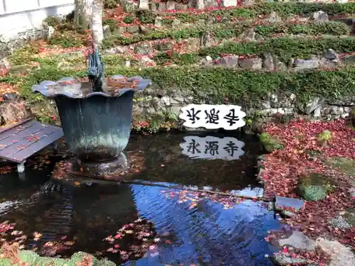 永源寺の庭園