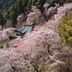 奥之院思親閣の自然