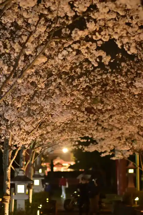 鶴岡八幡宮の自然