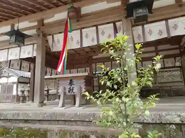御井神社の本殿・本堂