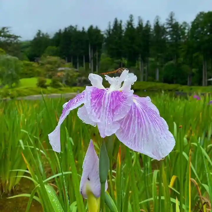 古峯神社の庭園