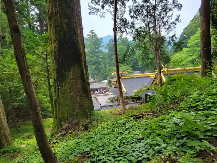 日光東照宮(栃木県)