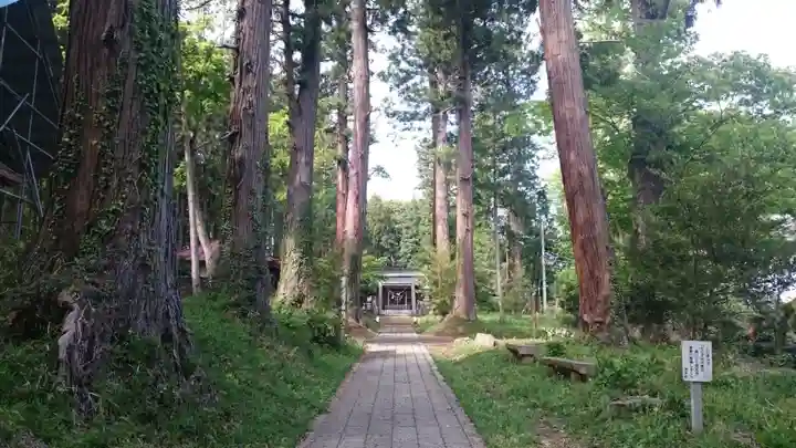荒橿神社の自然