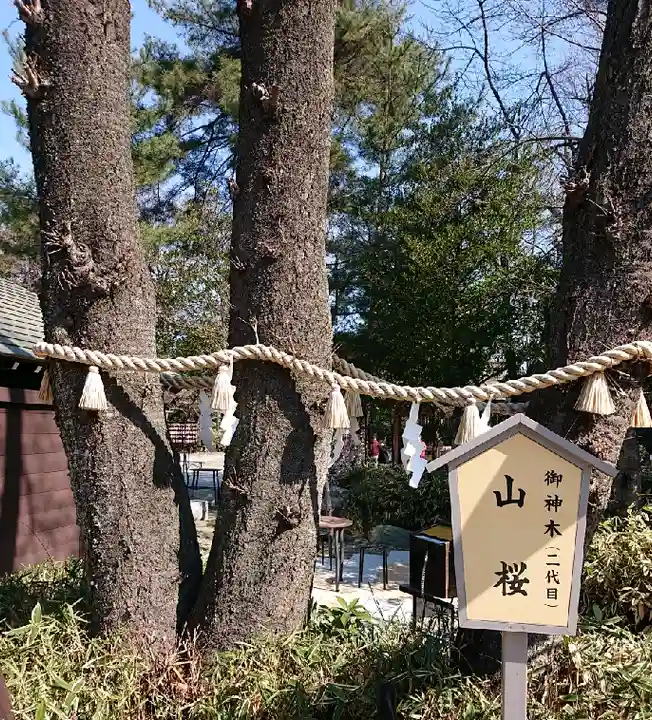 櫻木神社の自然