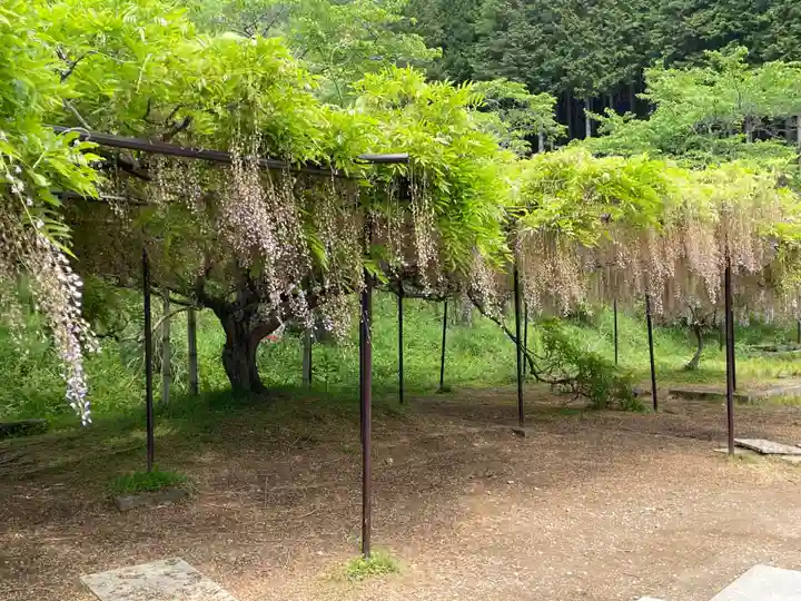 天台宗 五大山 白毫寺(兵庫県)