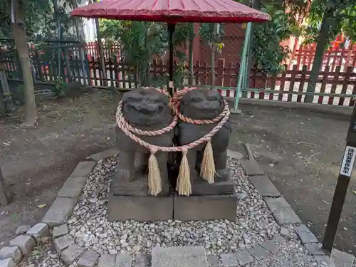 浅草神社の狛犬