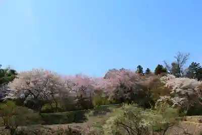 三春大神宮の景色