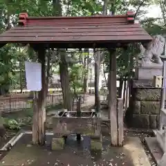 氷川神社の手水