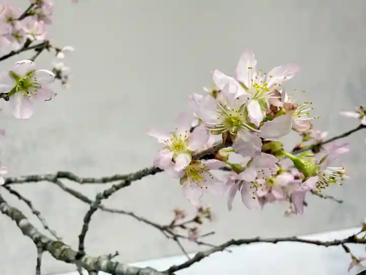 西方山極楽寺(岐阜県)