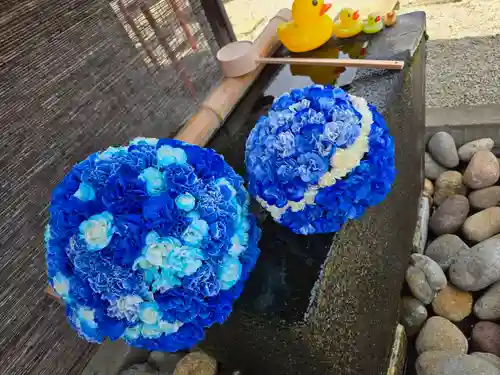 上尾御嶽神社の手水舎