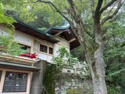 金刀比羅神社(徳島県)
