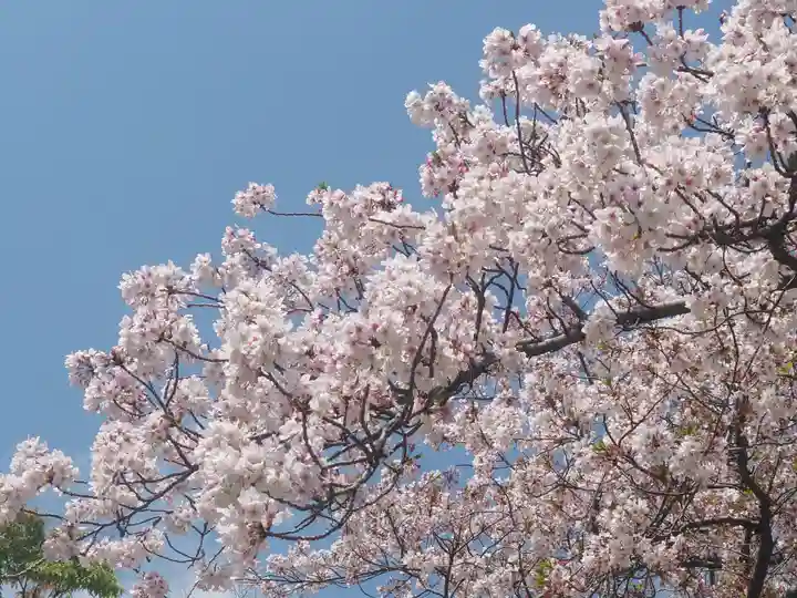 平塚三嶋神社(神奈川県)