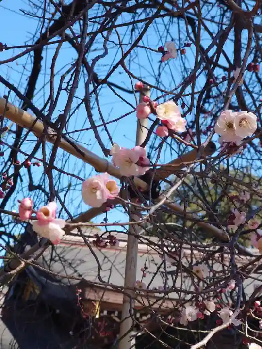 亀ケ池八幡宮(神奈川県)