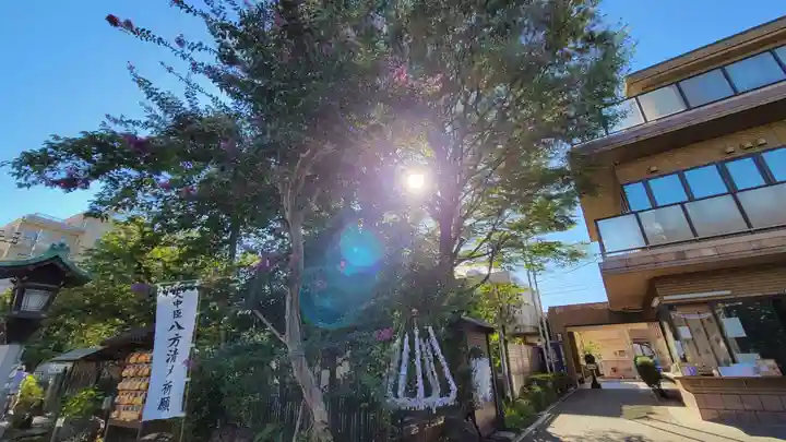 桜神宮のその他建物