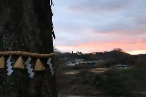 阿久津「田村神社」（郡山市阿久津町）旧社名：伊豆箱根三嶋三社の自然