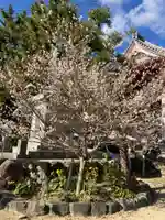 漆部神社(愛知県)