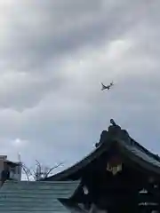 鶴満寺の山門