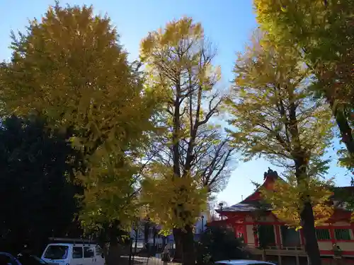 戸部杉山神社の自然