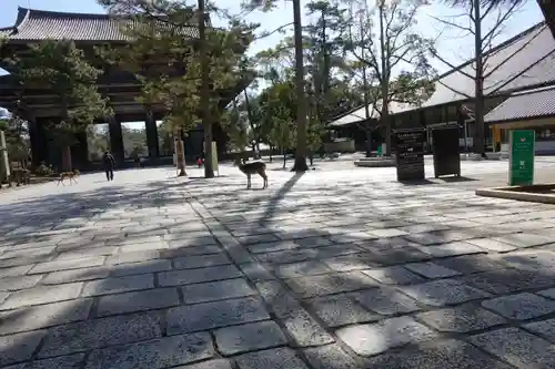 東大寺 法華堂（三月堂）のその他建物