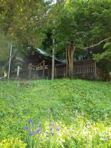 諏訪大社上社前宮の本殿・本堂