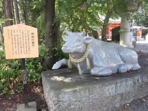 冨士御室浅間神社の狛犬