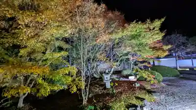 妙顯寺（妙顕寺）(京都府)