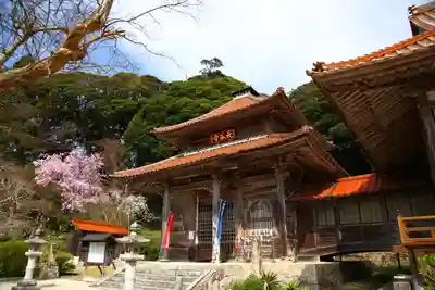 長谷寺の本殿・本堂