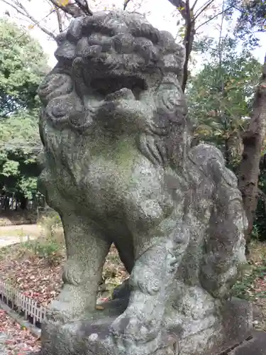 八幡社（柏井町）の狛犬