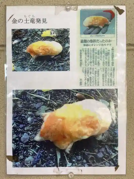 下野 星宮神社(栃木県)