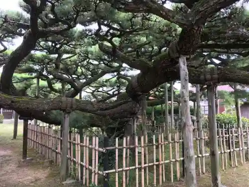 永安寺の庭園