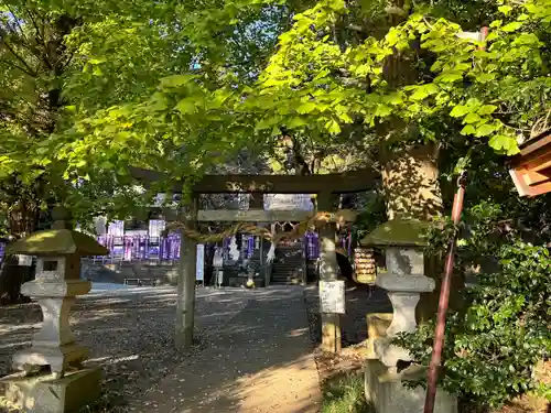 下野 星宮神社(栃木県)