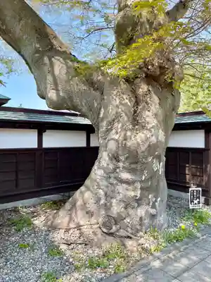 妙法寺(福島県)