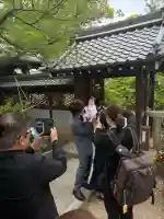 野見神社の{uncategorized: "未分類", other: "その他", undefined: "問題あり", building: "その他建物", grave: "お墓", sacred_gate: "鳥居", guardian: "狛犬", statue: "像", buddha: "仏像", history: "歴史", nature: "自然", garden: "庭園", animal: "動物", pagoda: "塔", temizu: "手水舎", mountain_gate: "山門・神門", sanctuary: "本殿・本堂", subordinate: "末社・摂社", art: "芸術", scenery: "景色", jizo: "地蔵", ema: "絵馬", goshuin: "御朱印", omikuji: "おみくじ", items: "授与品その他", amulet: "お守り", goshuincho: "御朱印帳", eats: "食事", festival: "お祭り", votive_dance: "神楽", shichigosan: "七五三参", wedding: "結婚式", experience: "体験その他", initially: "初詣", around: "周辺", anti_infection: "感染症対策"}