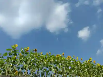伊勢山皇大神宮(神奈川県)