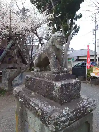 龍ケ崎八坂神社の狛犬