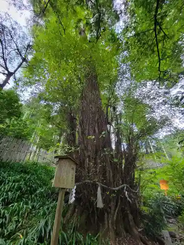 貴船神社(京都府)
