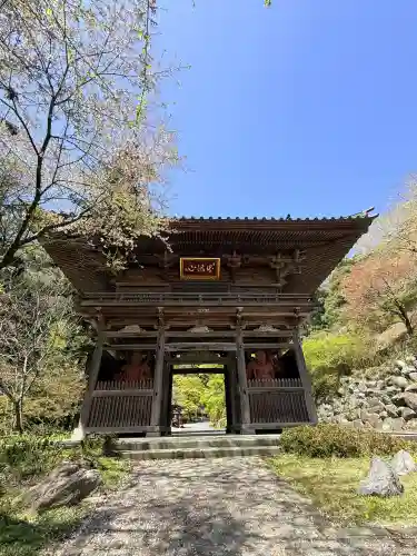 満願寺の{uncategorized: "未分類", other: "その他", undefined: "問題あり", building: "その他建物", grave: "お墓", sacred_gate: "鳥居", guardian: "狛犬", statue: "像", buddha: "仏像", history: "歴史", nature: "自然", garden: "庭園", animal: "動物", pagoda: "塔", temizu: "手水舎", mountain_gate: "山門・神門", sanctuary: "本殿・本堂", subordinate: "末社・摂社", art: "芸術", scenery: "景色", jizo: "地蔵", ema: "絵馬", goshuin: "御朱印", omikuji: "おみくじ", items: "授与品その他", amulet: "お守り", goshuincho: "御朱印帳", eats: "食事", festival: "お祭り", votive_dance: "神楽", shichigosan: "七五三参", wedding: "結婚式", experience: "体験その他", initially: "初詣", around: "周辺", anti_infection: "感染症対策"}