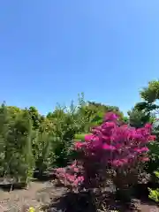 日之神社森(神奈川県)