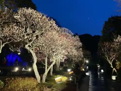 長谷寺の{uncategorized: "未分類", other: "その他", undefined: "問題あり", building: "その他建物", grave: "お墓", sacred_gate: "鳥居", guardian: "狛犬", statue: "像", buddha: "仏像", history: "歴史", nature: "自然", garden: "庭園", animal: "動物", pagoda: "塔", temizu: "手水舎", mountain_gate: "山門・神門", sanctuary: "本殿・本堂", subordinate: "末社・摂社", art: "芸術", scenery: "景色", jizo: "地蔵", ema: "絵馬", goshuin: "御朱印", omikuji: "おみくじ", items: "授与品その他", amulet: "お守り", goshuincho: "御朱印帳", eats: "食事", festival: "お祭り", votive_dance: "神楽", shichigosan: "七五三参", wedding: "結婚式", experience: "体験その他", initially: "初詣", around: "周辺", anti_infection: "感染症対策"}
