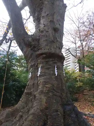 愛宕神社(福島県)