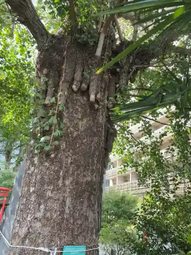 成子天神社(東京都)