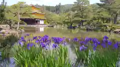 鹿苑寺（金閣寺）の庭園