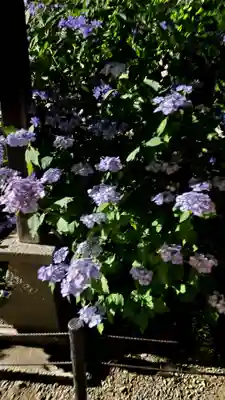 大善院(東京都)