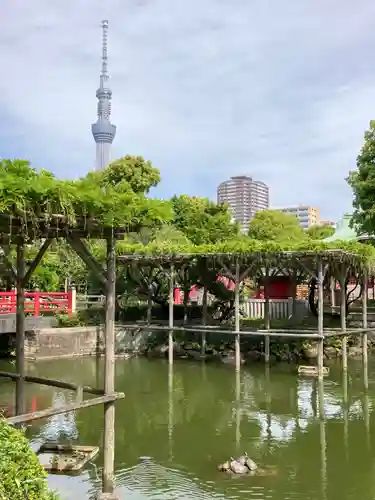 亀戸天神社の庭園