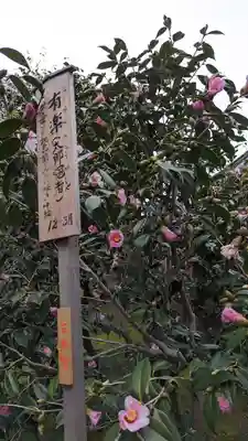 城南宮(京都府)