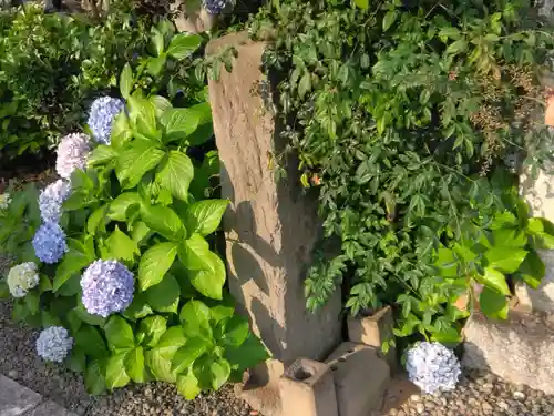 大久保山 自性院(神奈川県)