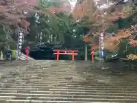 霧島神宮(鹿児島県)