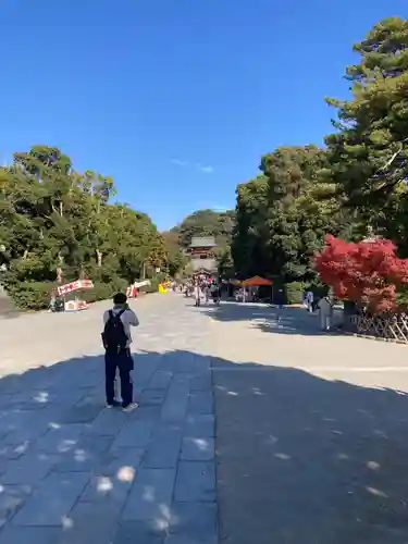 鶴岡八幡宮の景色