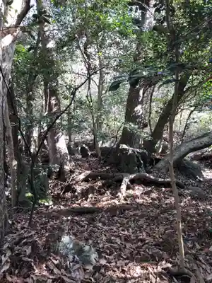 出雲大神宮の周辺